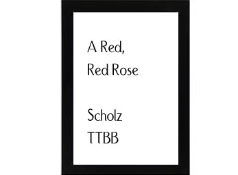 A Red, Red Rose Scholz