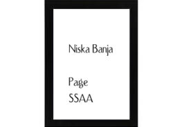 Niska Banja Page